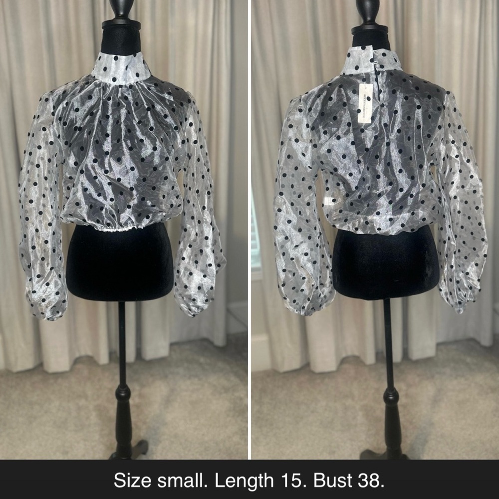 🍒Sheer Ruffled Blouse - Picture 3 of 3